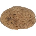 Pinnacle Large Natural Sea Sponge