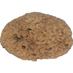 Pinnacle Large Natural Sea Sponge